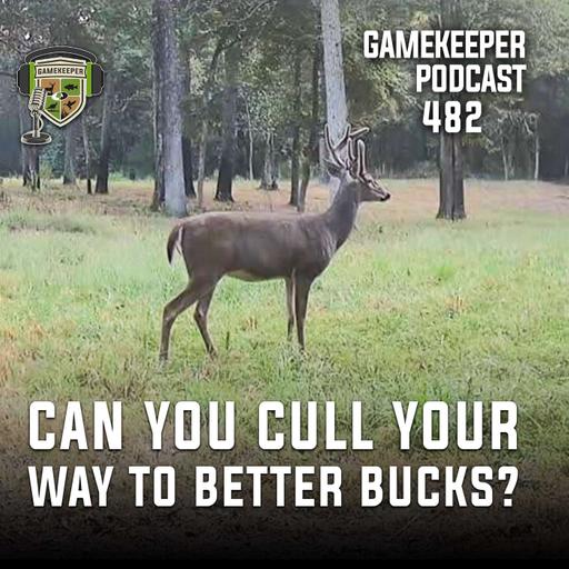 EP: 482 | Can you Cull Your Way to Better Bucks?