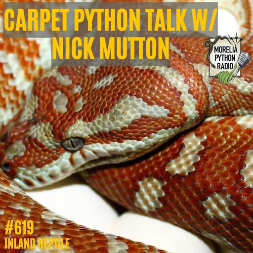 Carpet Python Talk W/ Nick Mutton of Inland Reptile