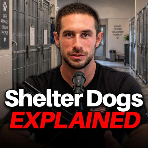 #165 What Really Happens Inside Animal Shelters?