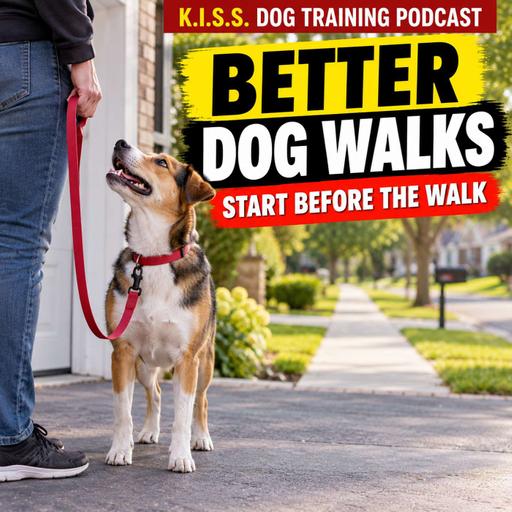 Better Dog Walks Start Before the Walk