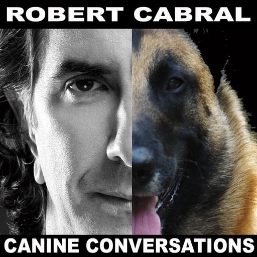 Episode 135 - Heart of the Beast, the Real Story of the Military Dogs Depicted in the Brad Pitt Movie