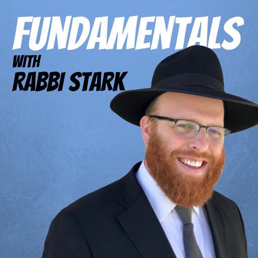 The Esrog And Its Beauty (Sukkos - Fundamentals)