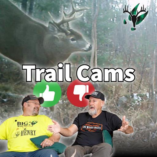 Trail Cameras in the Big Woods? | Big Woods Bucks Podcast Ep 206