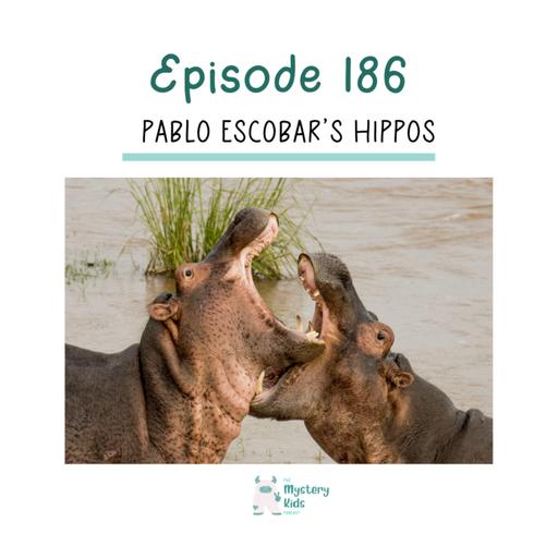 186: Pablo Escobar’s Hippos