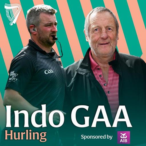 ‘We haven’t mimicked the football’ | John Meyler on the proposed rule changes and hurling's future