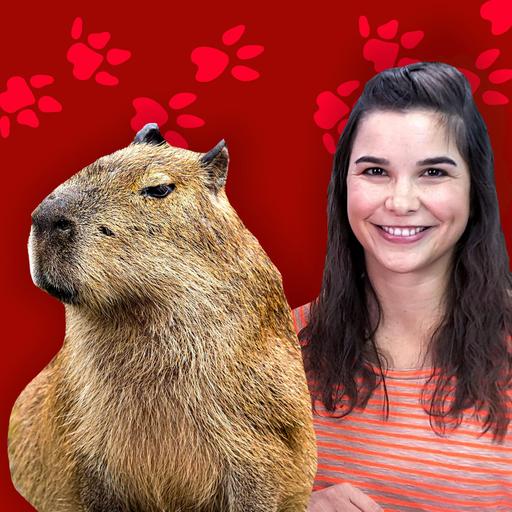 Capybaras – Die größten Nagetiere der Erde