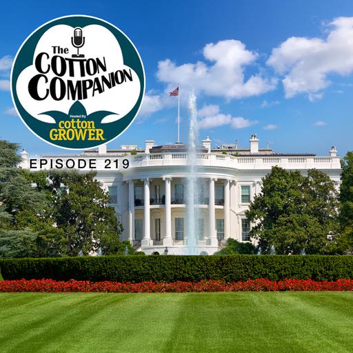 Cotton Market Idles as Chinese Delegation Visits the White House
