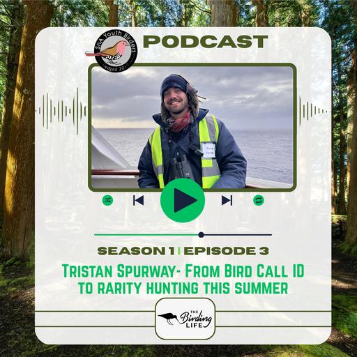 SnA Youth Birders Podcast- Season 1 Episode 3- Tristan Spurway- From Bird Call ID to Rarity Hunting This Summer