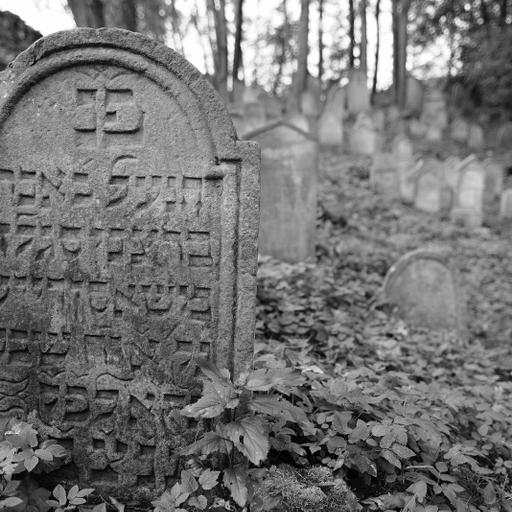 The Time for You to Die