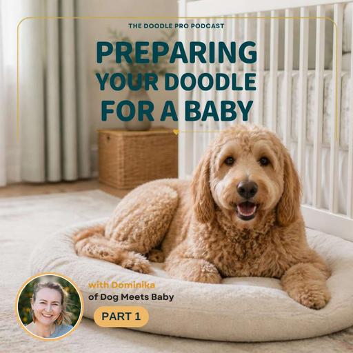 How to Prepare Your Dog for a New Baby: A Trainer's Twins Story (Part 1) | The Doodle Pro®