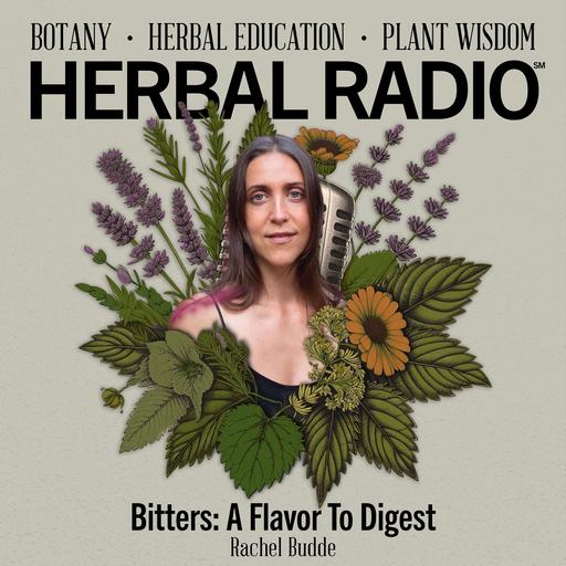 Bitter: A Flavor to Digest | Featuring Rachel Budde