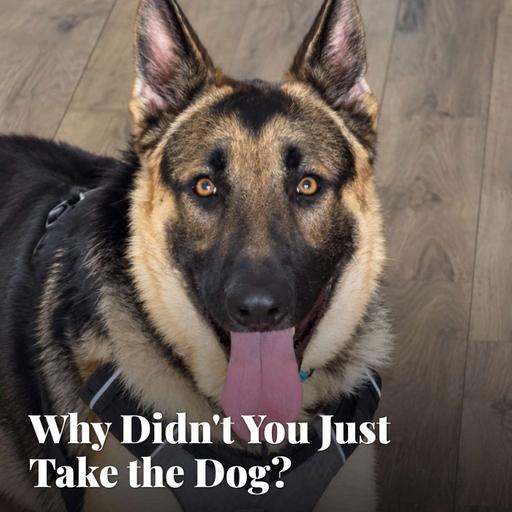 Why Didn't You Just Take the Dog?