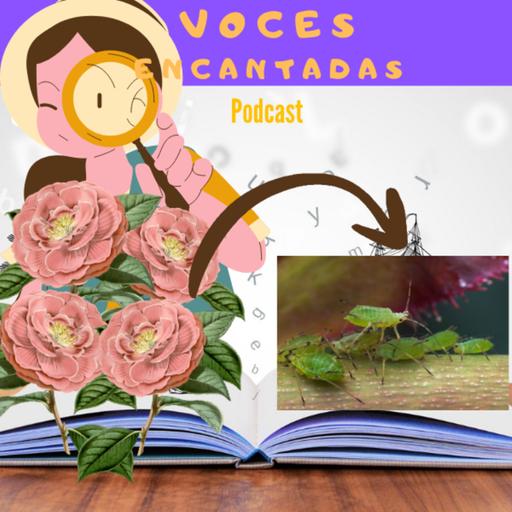 T6E7 Los verdezuelos