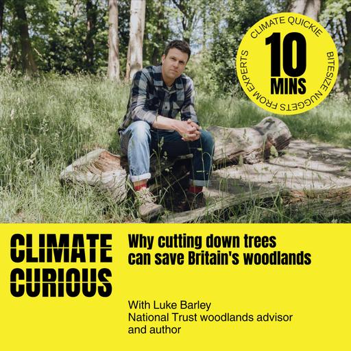 Why cutting down trees can save Britain's woodlands, with Luke Barley