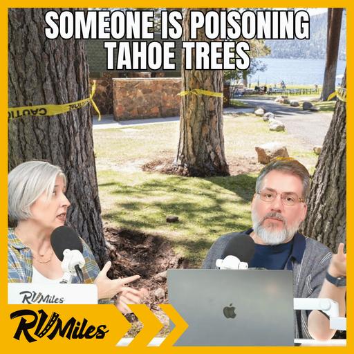 425. Hershey RV Show Sales, Lippert-Patrick Merger Drama, Tree Poisonings, and More