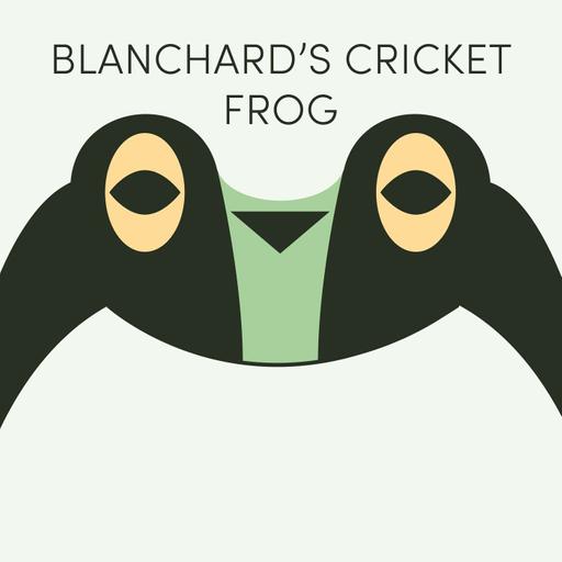Blanchard's Cricket Frog | Week of September 28th
