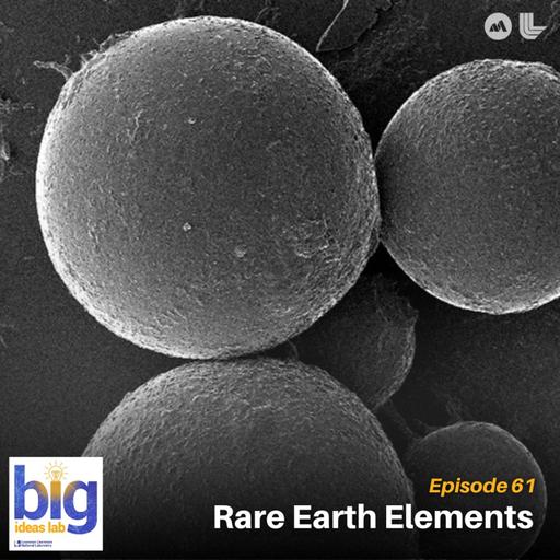 Rare Earth Elements