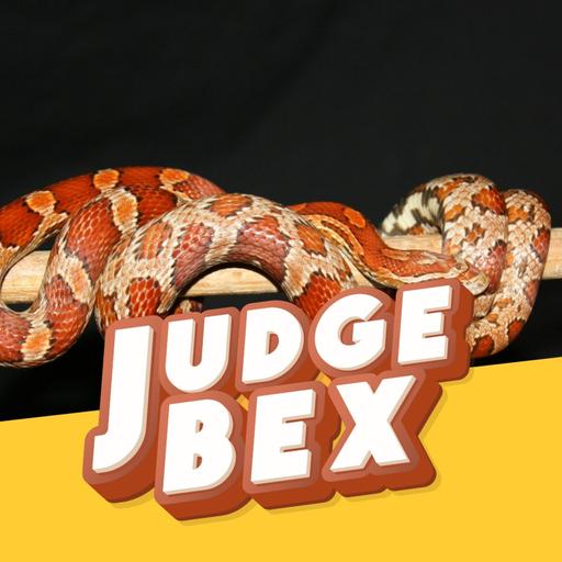 The pet snake and a summer of homework
