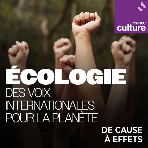Écologie : des voix internationales pour la planète : Shelly Masi : une primatologue au cœur de la jungle