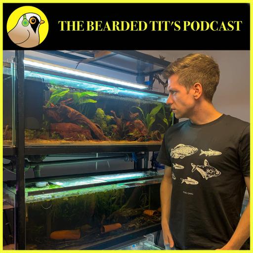 Fish Keeping Hobby Explored ft Alex Bell #200