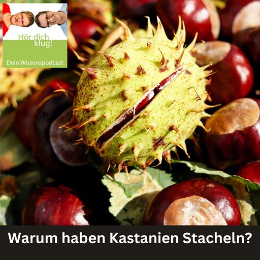 Warum haben Kastanien Stacheln?