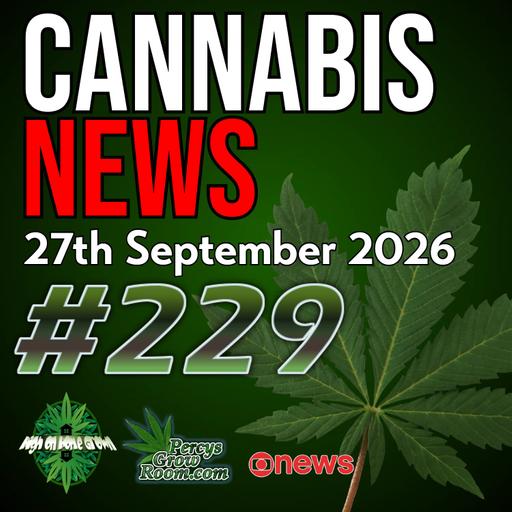 Neighbours Advised to Report Cannabis Users to Police, £13.8 Million Cannabis Import Plot, UK Medical Cannabis Expansion & The Future of Cannabis Insurance in the USA
