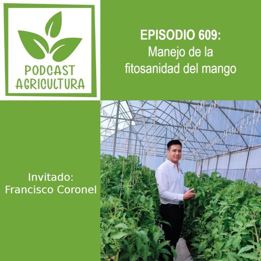 609 Manejo de la fitosanidad del mango con Francisco Coronel