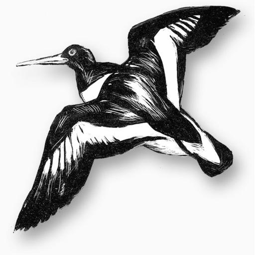 I guess they call them storm petrels for a reason
