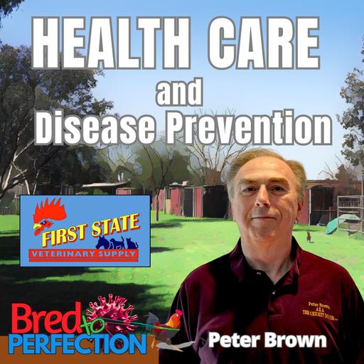 Ep305 - Unlocking Genetic Potential Through the Power of Vitamins with Peter Brown