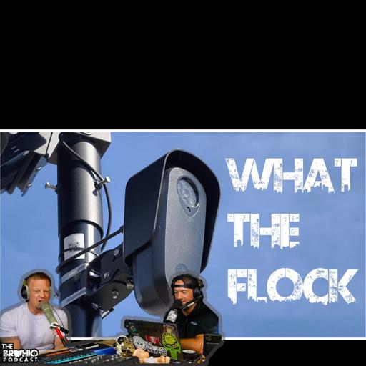 WHAT THE FLOCK?? The Flock Camera Episode