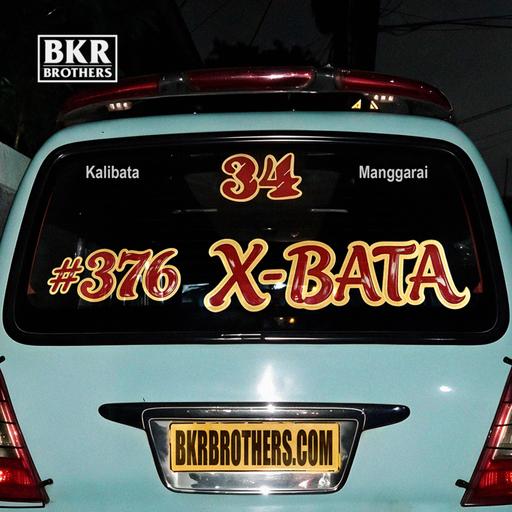 #376 X-Bata