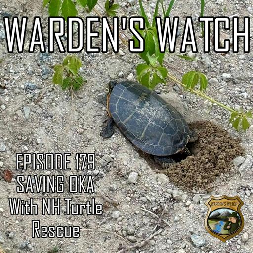 179 Saving Oka – With NH Turtle Rescue