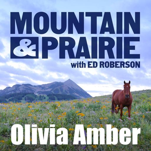 Olivia Amber – On Chosen and Unchosen Suffering