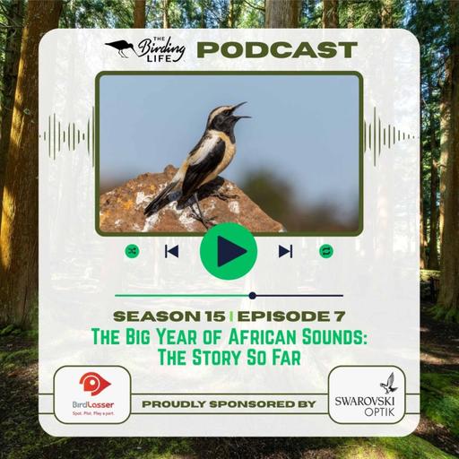 TBL Podcast - The Big Year of African Sounds: The Story So Far