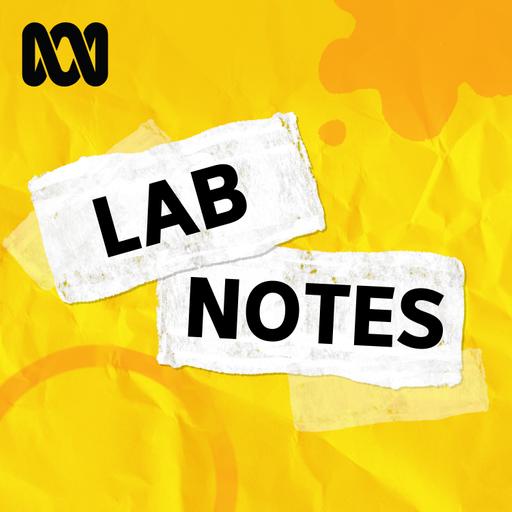 Lab Notes: Why you shouldn't leave your phone charging
