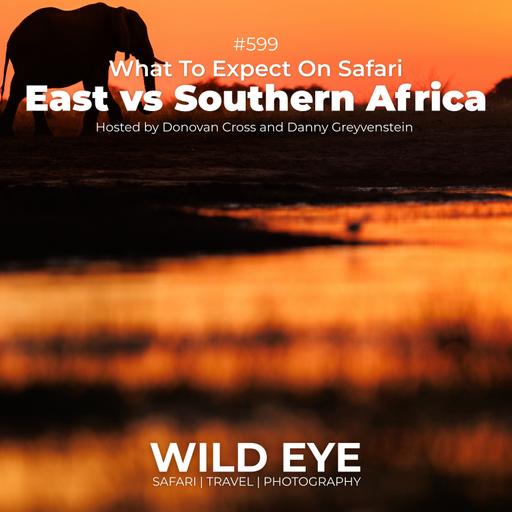 #599 - East vs Southern Africa Safari - What to Expect