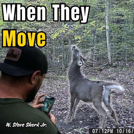 150 Trail Cameras Reveal When Big Woods Bucks Actually Move | Steve Sherk Jr.