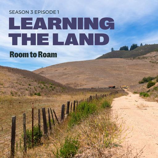 Room to Roam