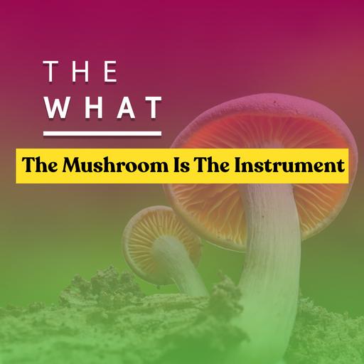 The Musician Who Plays Mushrooms