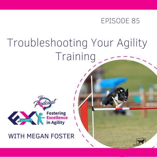 Troubleshooting Your Agility Training