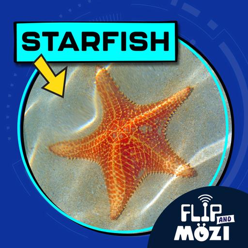 Starfish