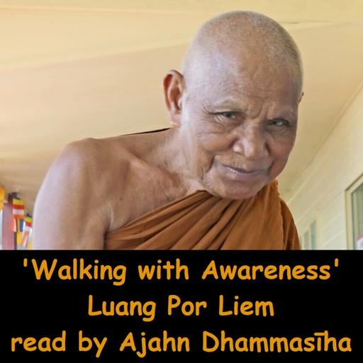 Walking with Awareness | Luang Por Liem's Guide for Walking Meditation | Ajahn Dhammasiha | Cankama