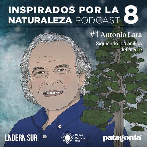 T8 - #01 - Antonio Lara "Siguiendo los anillos del alerce"