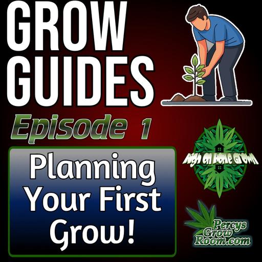 How to Plan Your First Cannabis Grow: Budget, Space, Time, Yield & Legality | Grow Guides S3 Ep. 1
