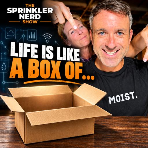 #216 - Life Is Like A Box Of....