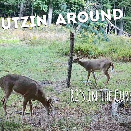 Putzin Around- R2's In The Current