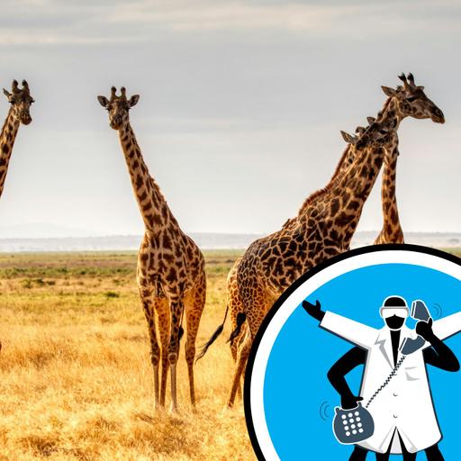 Do giraffes have the same number of neck bones as humans?