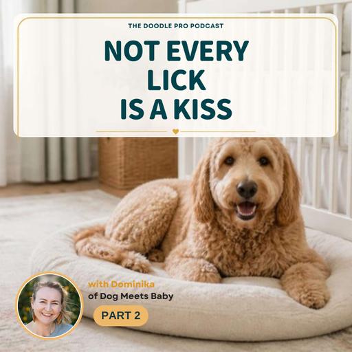 How to Introduce Your Doodle to a New Baby: Dog Meets Baby, Part 2