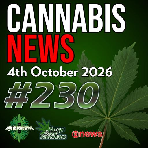 Cannabis Use Disorder in Older Adults Increases? £1.1m Grow Bust, Hemp THC Ban & Cannabis Used Linked to Violence... Apparently Cannabis News 230