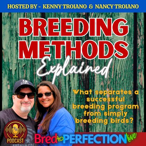 Ep306 - Breeding Methods Explained: What separates a successful breeding program from simply breeding birds?